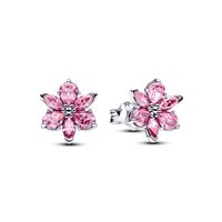 Orecchini Pandora Donna Stone Cluster in Argento Cubic Zirconia 292633C02